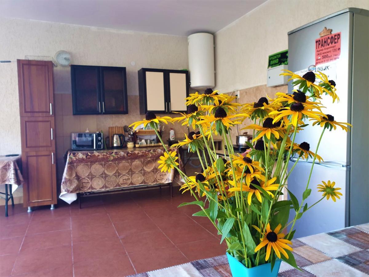 Guest House Lykhny ガグラ エクステリア 写真