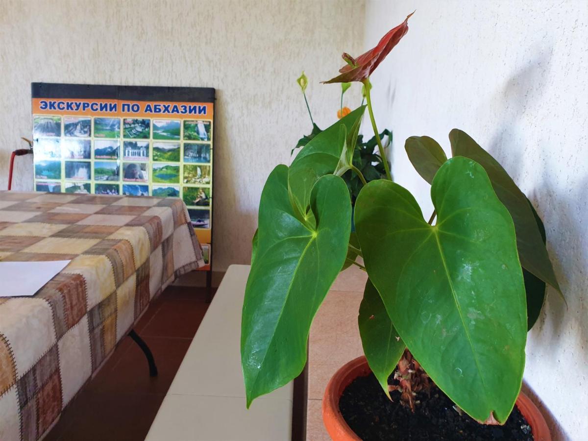 Guest House Lykhny ガグラ エクステリア 写真